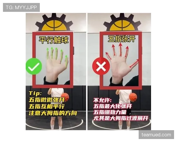 篮球规则:详解投篮动作判定的核心标准与适用情况 篮球规则:详解投篮动作判定的核心标准与适用情况